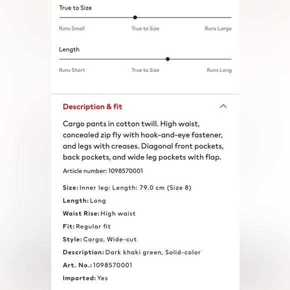 H&M Cargo Pants | Dark Khaki Green | Size 2 - Picture 3 of 4
